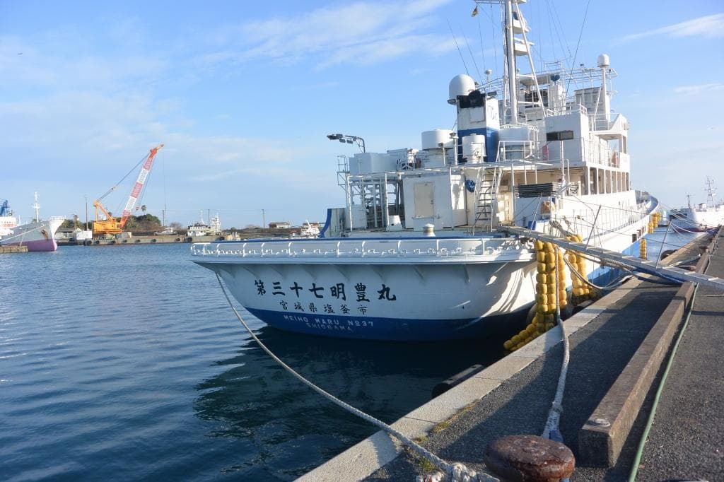 Nikon 1 J3 ホワイト 本体 付属品あり