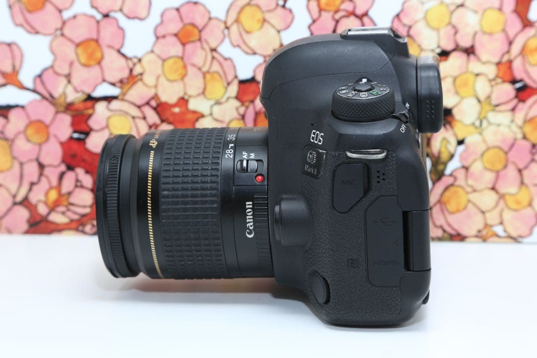 ❤フルサイズ機❤キヤノン EOS 6D markⅡ レンズセット❤