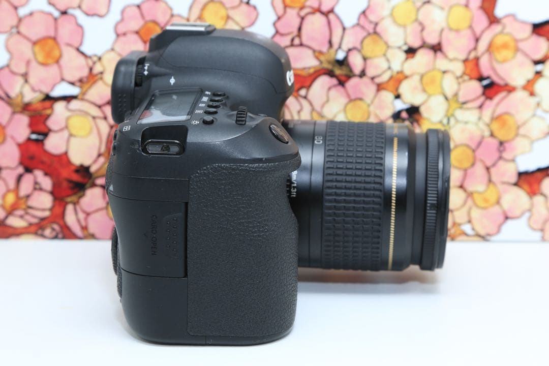 ❤フルサイズ機❤キヤノン EOS 6D markⅡ レンズセット❤