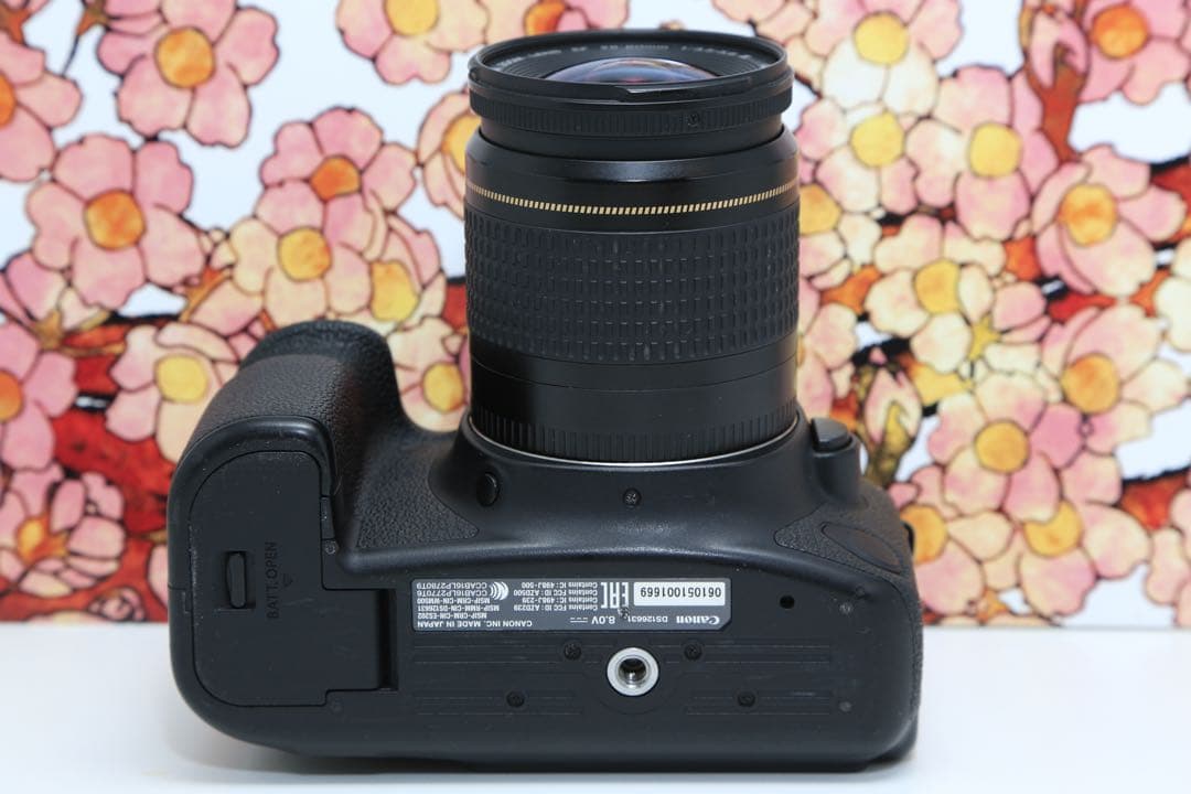 ❤フルサイズ機❤キヤノン EOS 6D markⅡ レンズセット❤