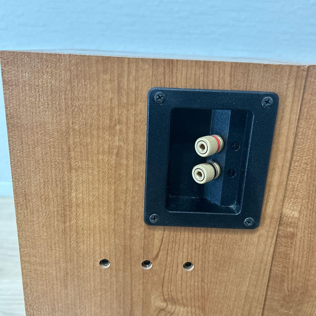 【美品】 DIATONE DS-100ZV スピーカーセット 希少品