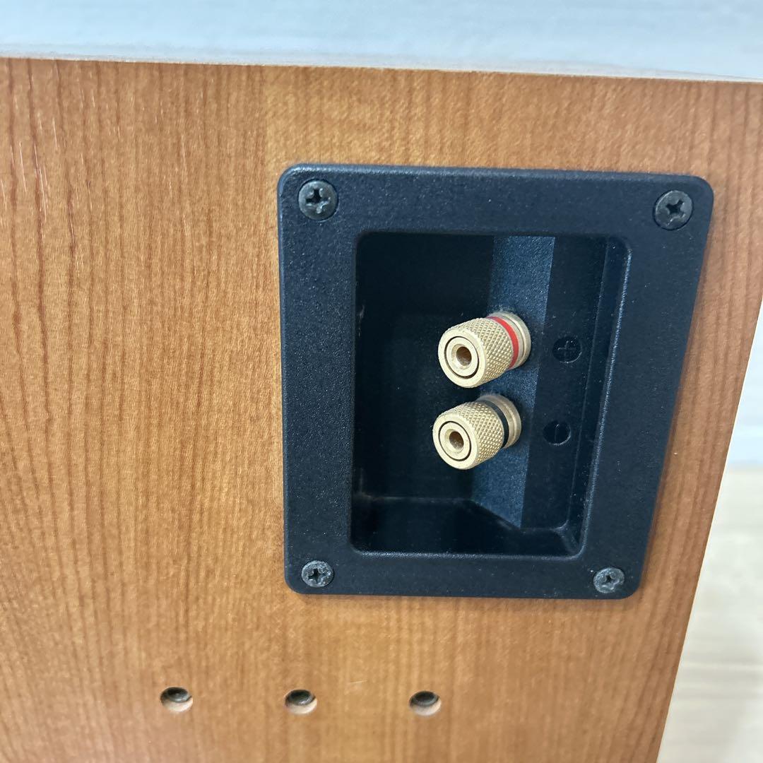 【美品】 DIATONE DS-100ZV スピーカーセット 希少品