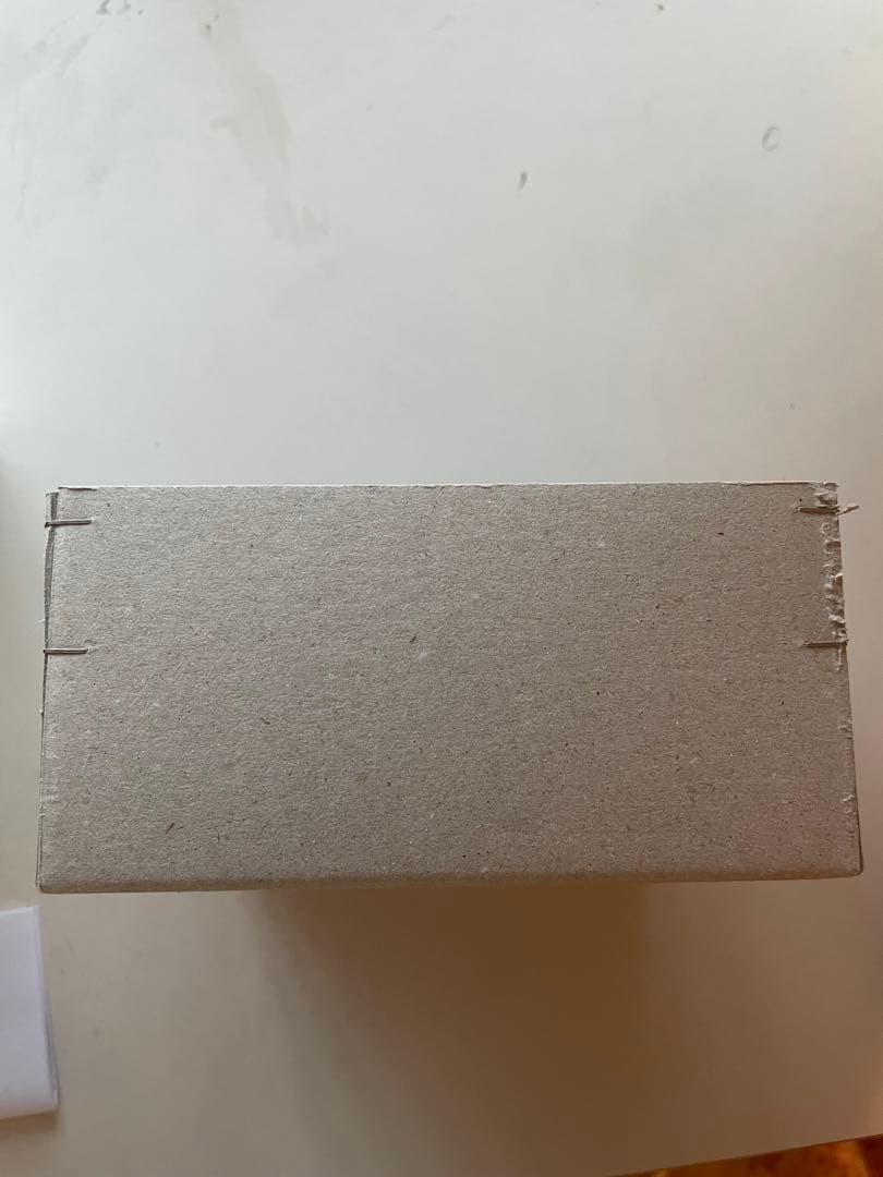 【限定482・No.041】デジタルハリネズミ1st復刻