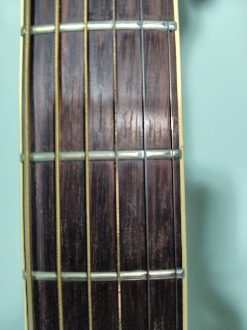 TAKAMINE TDP561C BL（エレアコ）＋ハードケース付き