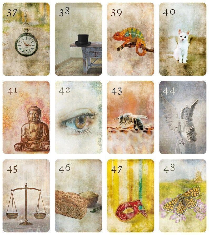 ムーンナイトルノルマンカード 占い オラクルカード タロットカード