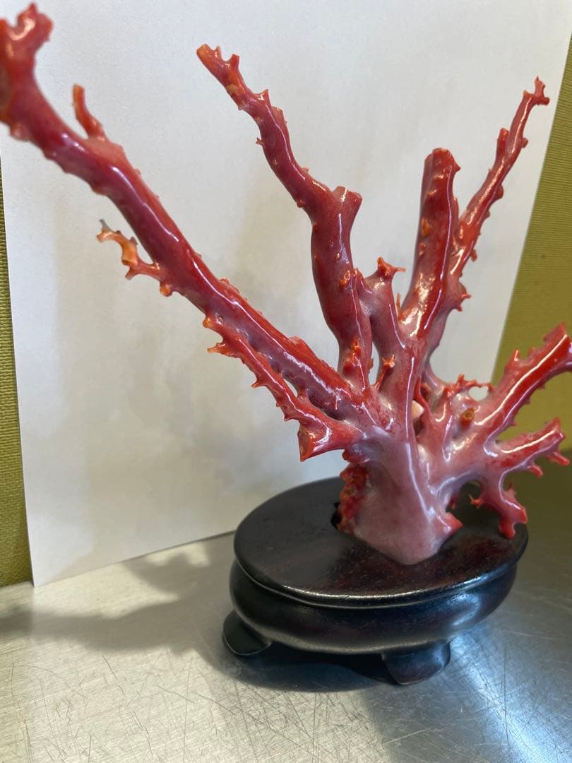 赤珊瑚　原本　サンゴ　置物　オブジェ