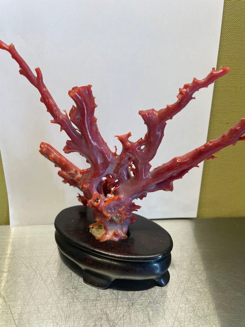 赤珊瑚　原本　サンゴ　置物　オブジェ