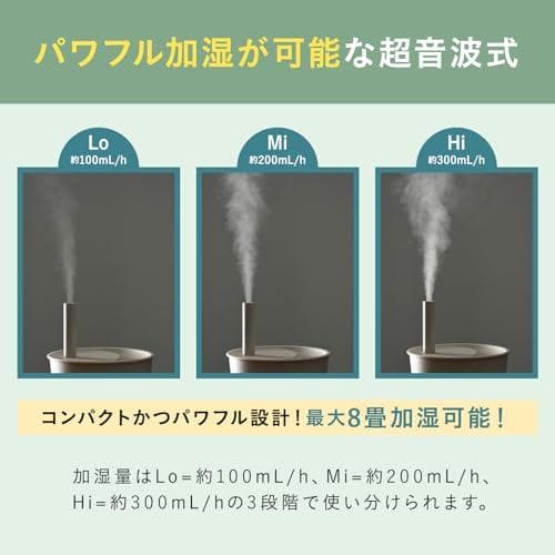 BRUNO ブルーノ 超音波 アロマ加湿器 POT MIST グレージ_corg