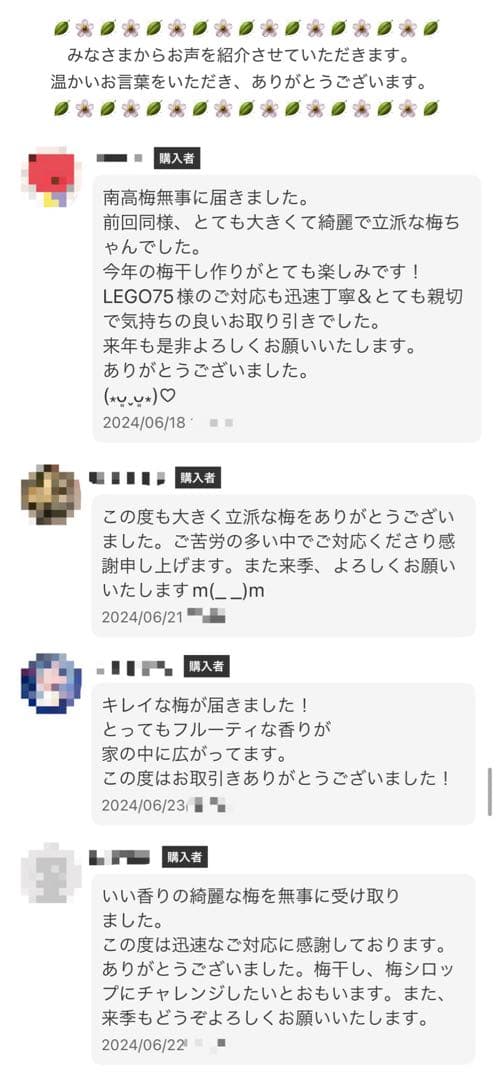 和歌山県みなべ町 「農薬不使用」南高梅 3L4L約5キロ