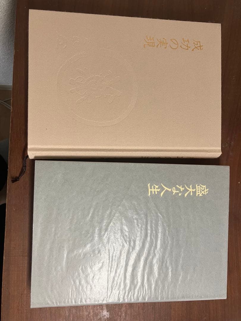 成功の実現 & 盛大な人生 セット