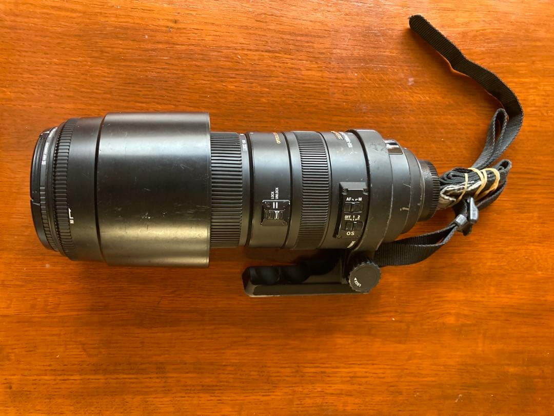 その他 SIGMA APO150-500F5-6.3DG OS HSM/N