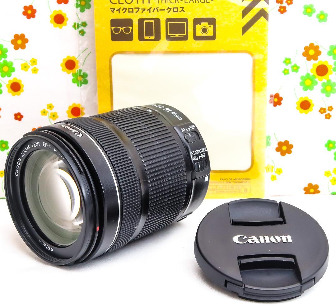 美品 Canon EF-S 18-135mm STM☆高性能・高倍率レンズ