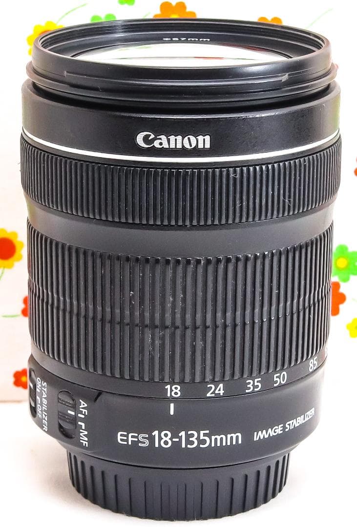 美品 Canon EF-S 18-135mm STM☆高性能・高倍率レンズ