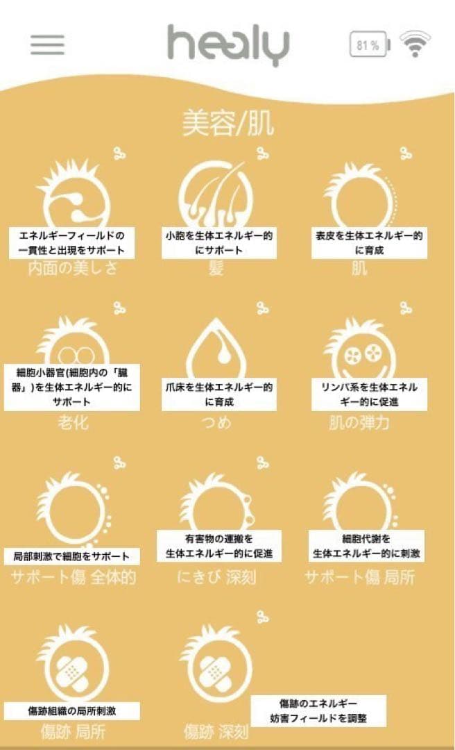 ヒーリー・レゾナス・プラス・エディション　コーチング付き