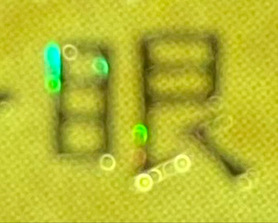 ⭐︎希少エラー：ダイヤモンドカット⭐︎遊戯王 青眼の白龍 初期ブル コレクション出品