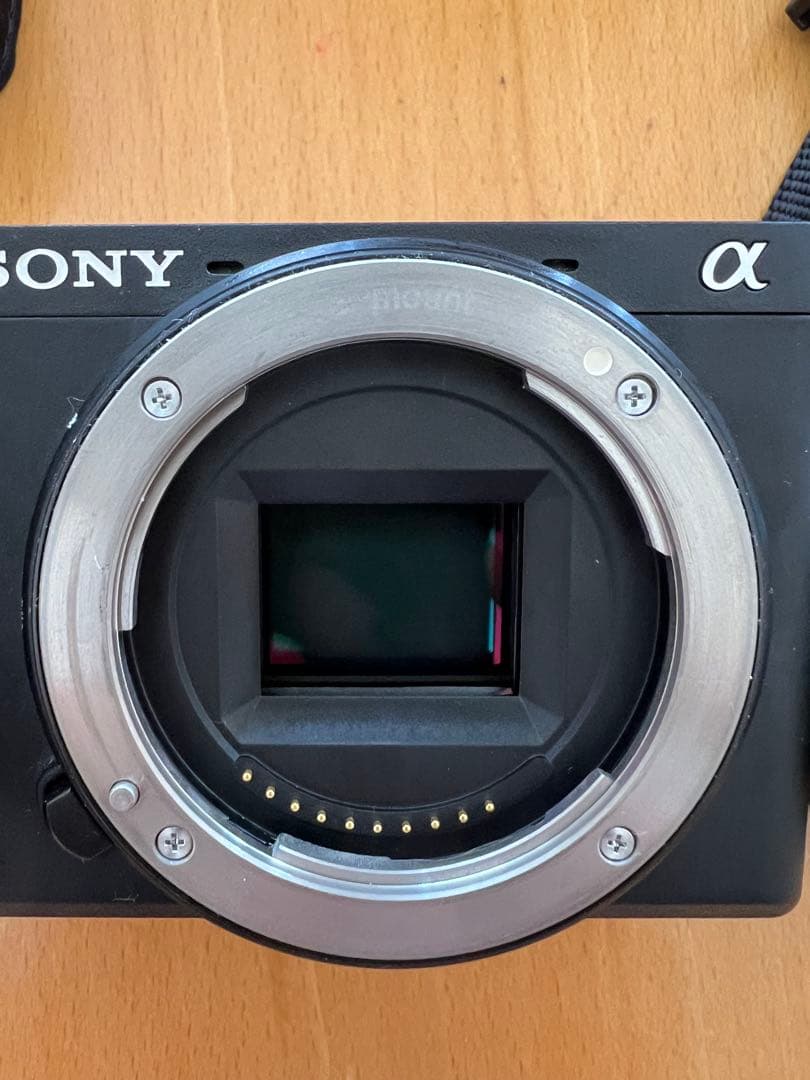 Sony α ミラーレス一眼カメラセット