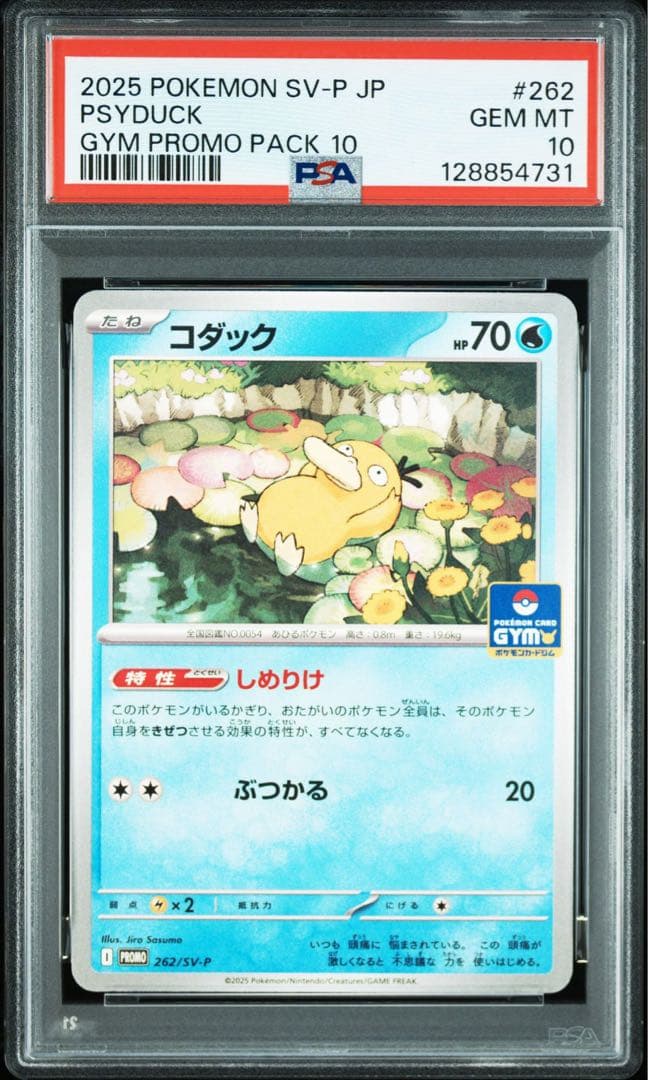 【PSA10】コダック ジムプロモ しめりけ Psyduck 6枚セット