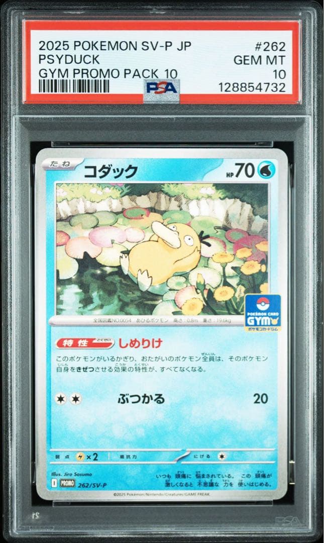 【PSA10】コダック ジムプロモ しめりけ Psyduck 6枚セット