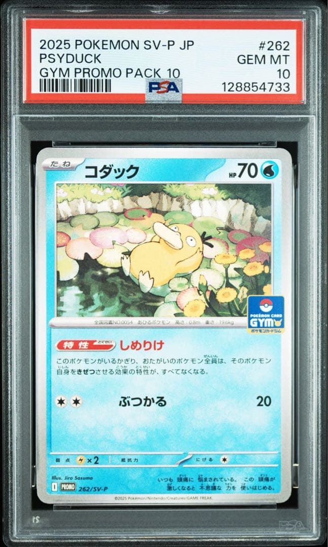 【PSA10】コダック ジムプロモ しめりけ Psyduck 6枚セット