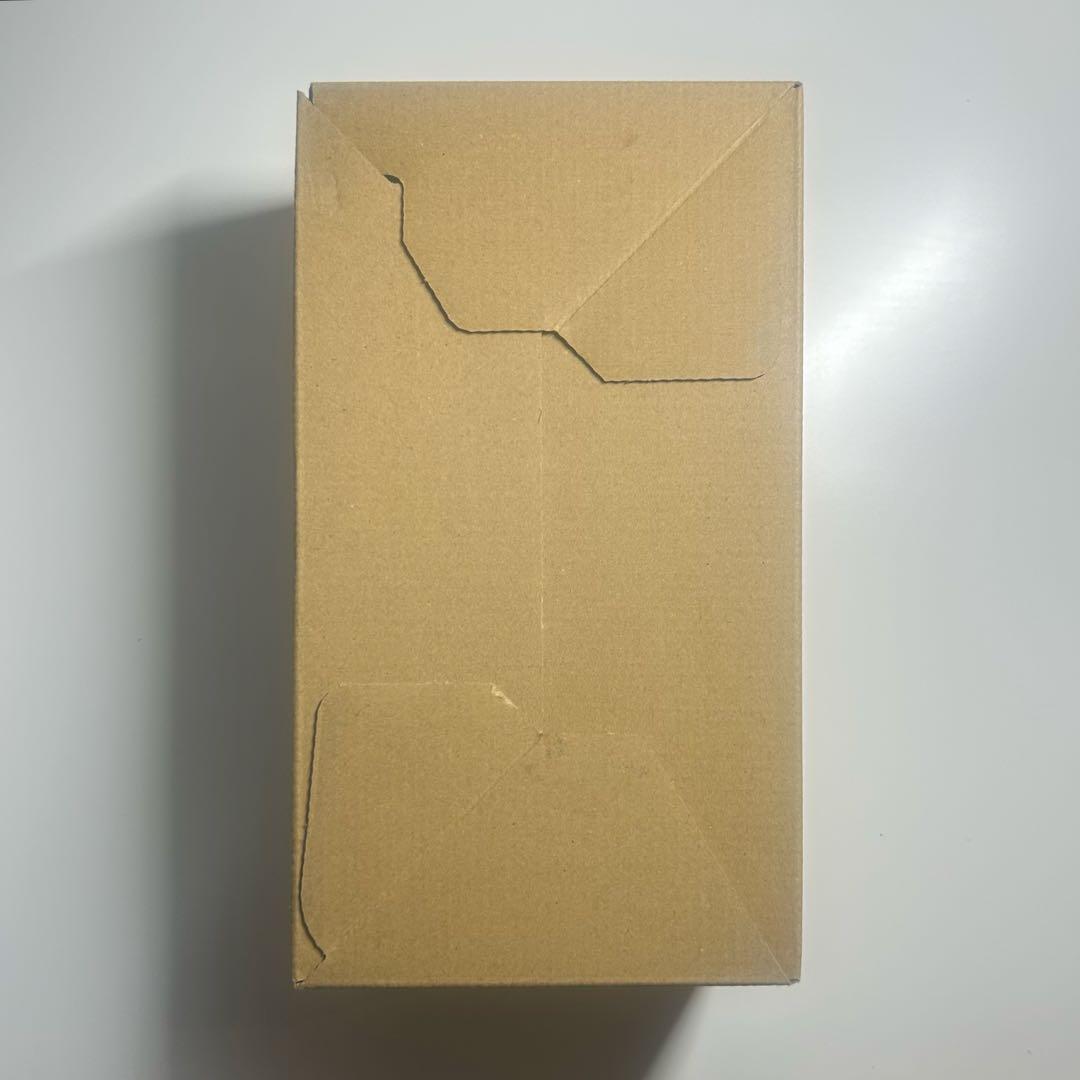 【未開封・シュリンク・納品書あり】 ポケモンセンター ヒロシマ スペシャルBOX