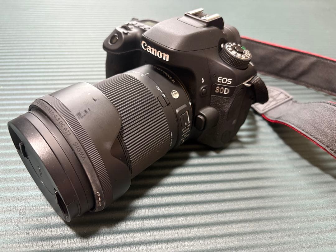 Canon EOS 80D デジタル一眼レフ セット