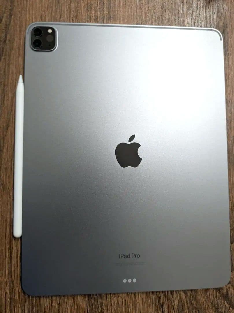 Apple iPad Pro 12.9インチ 第6世代 本体