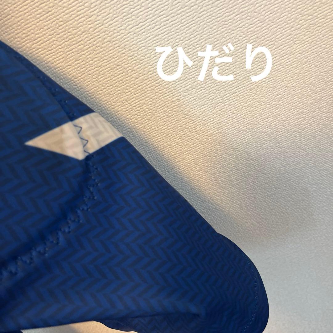 s*ん様 スキー　アルペン　レーシング　ゴールドウィン　ワンピース　goldwi