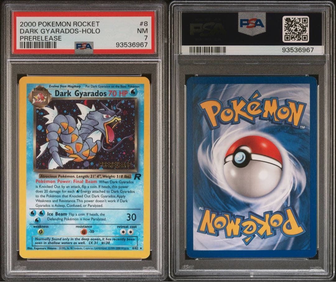 【PSA7】海外限定加工 わるいギャラドス プレリリース プロモ 英語