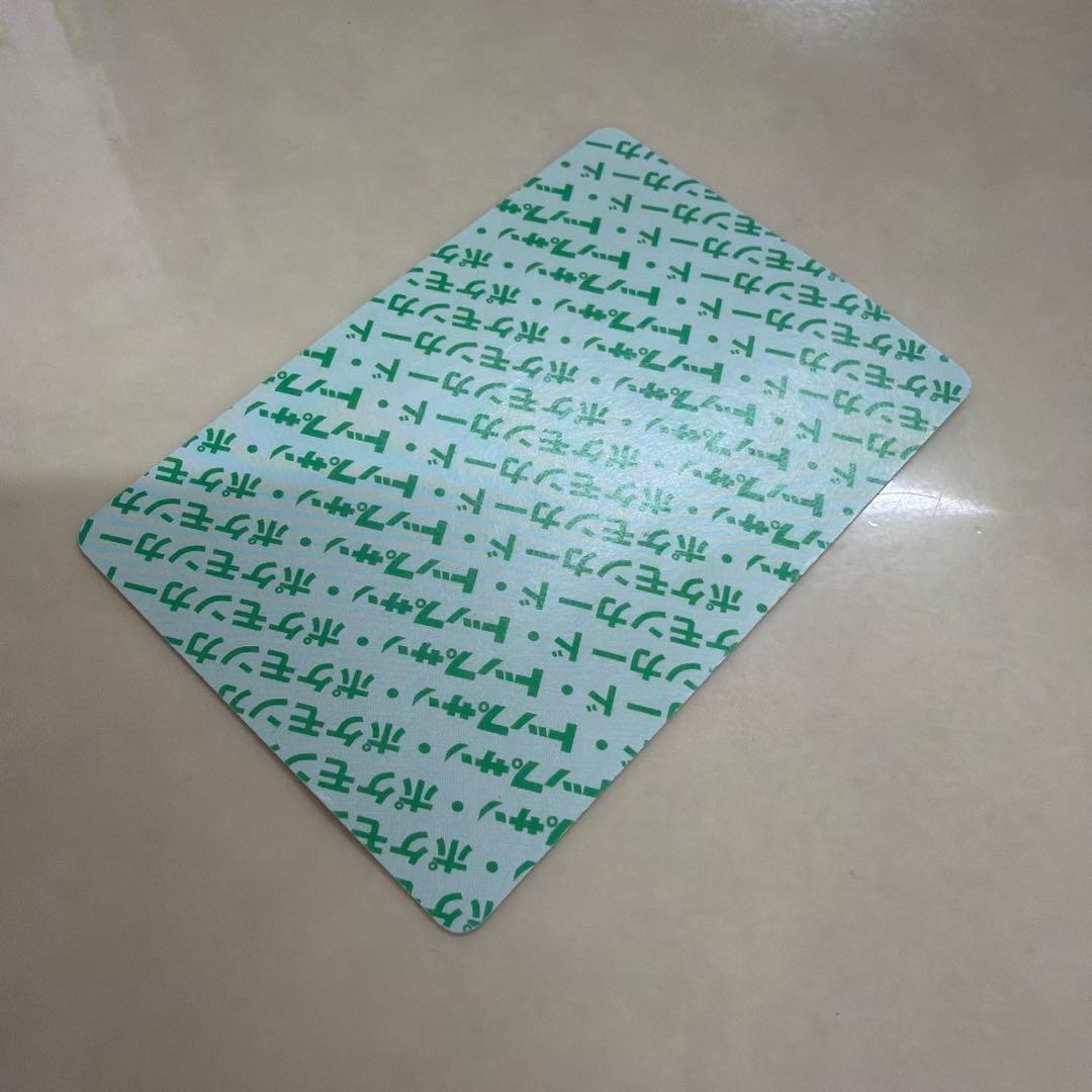 当時物　トップサン　リザードン　緑