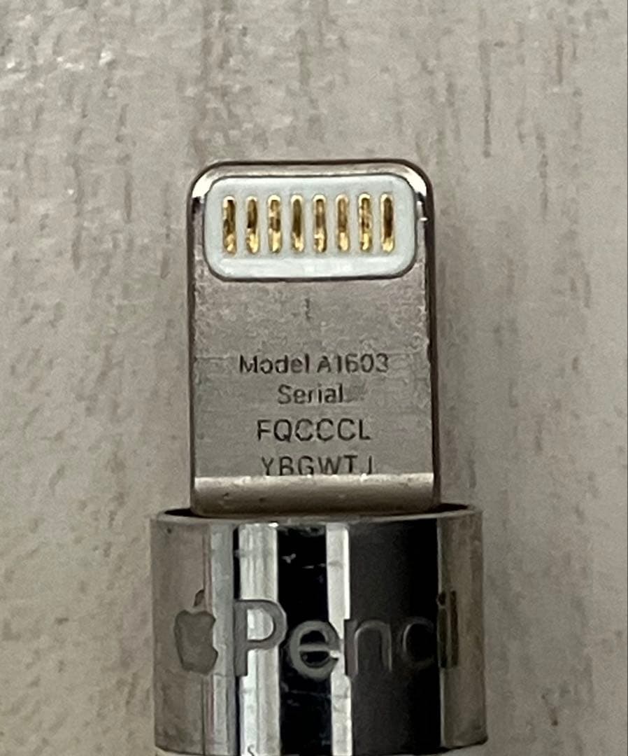 純正レザーケース&キーボード＆Apple Pencil 第1世代