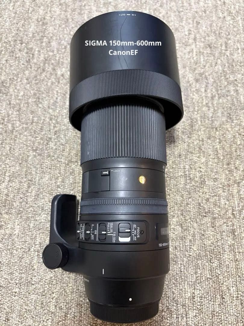 Sigma150-600mm Canon EFマウントContemporary