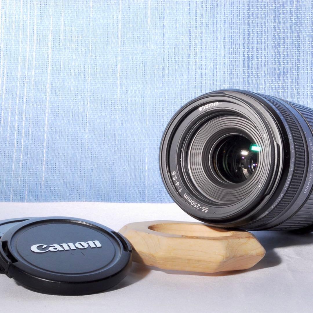 ⭐️超美品‼⭐️ キャノン EF-S 55-250mm F4-5.6 IS