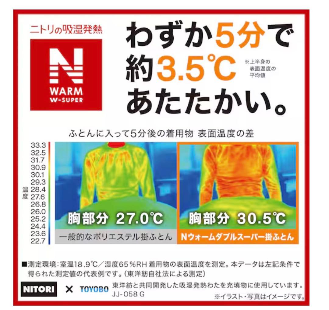 カバーのいらない両面掛ふとん シングル(Nウォーム WSP K2528 S)