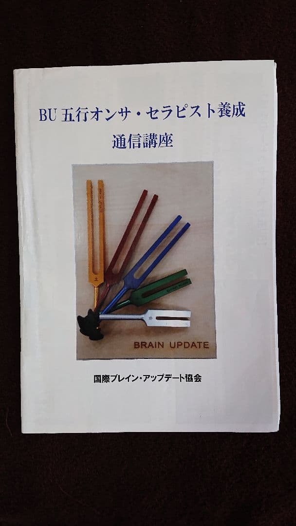 ブレイブ 五行音叉 ブレインアップデート テキスト付き ニチオン