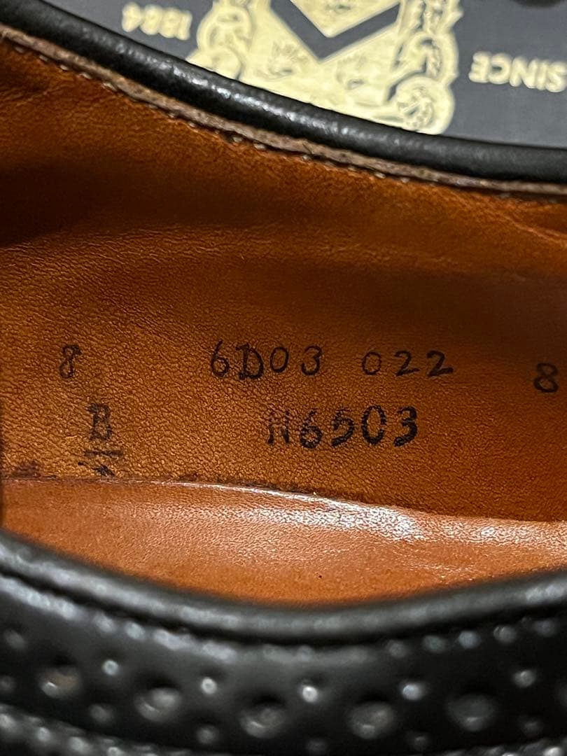 Alden コードバン ロングウイングチップ 8D