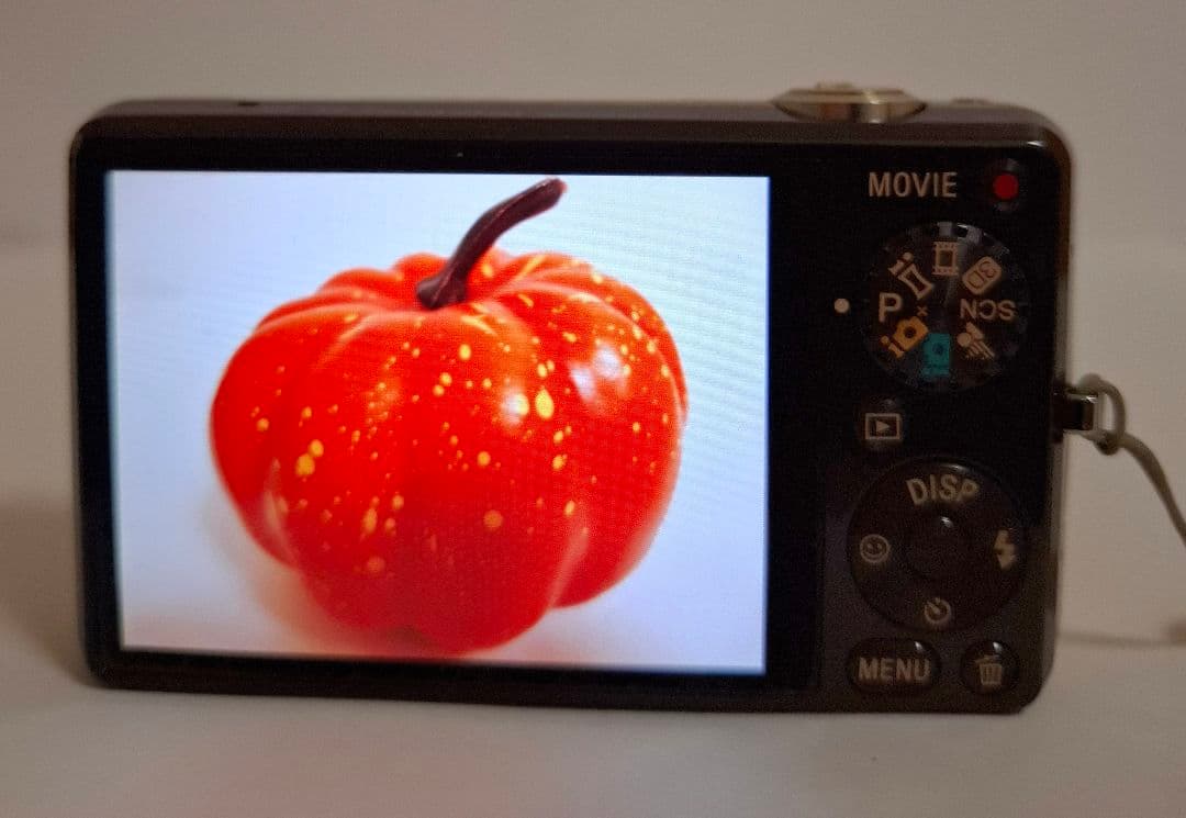 ソニー SONY Cyber-Shot DSC-WX5 デジタルカメラ