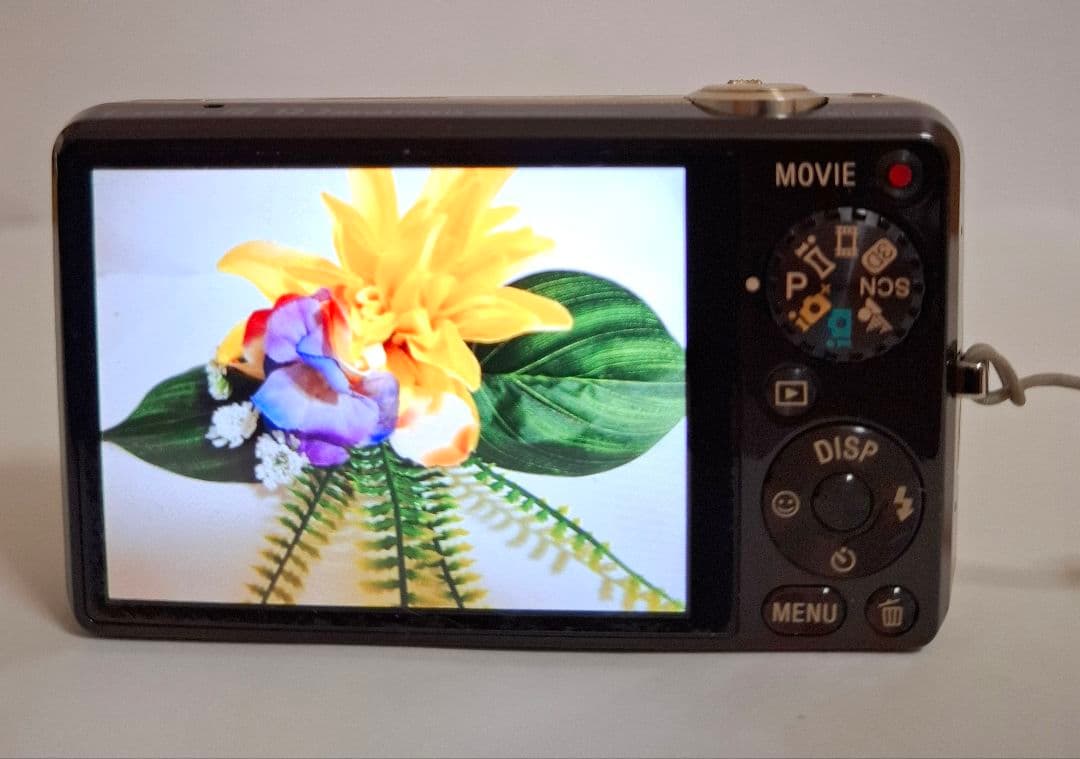 ソニー SONY Cyber-Shot DSC-WX5 デジタルカメラ