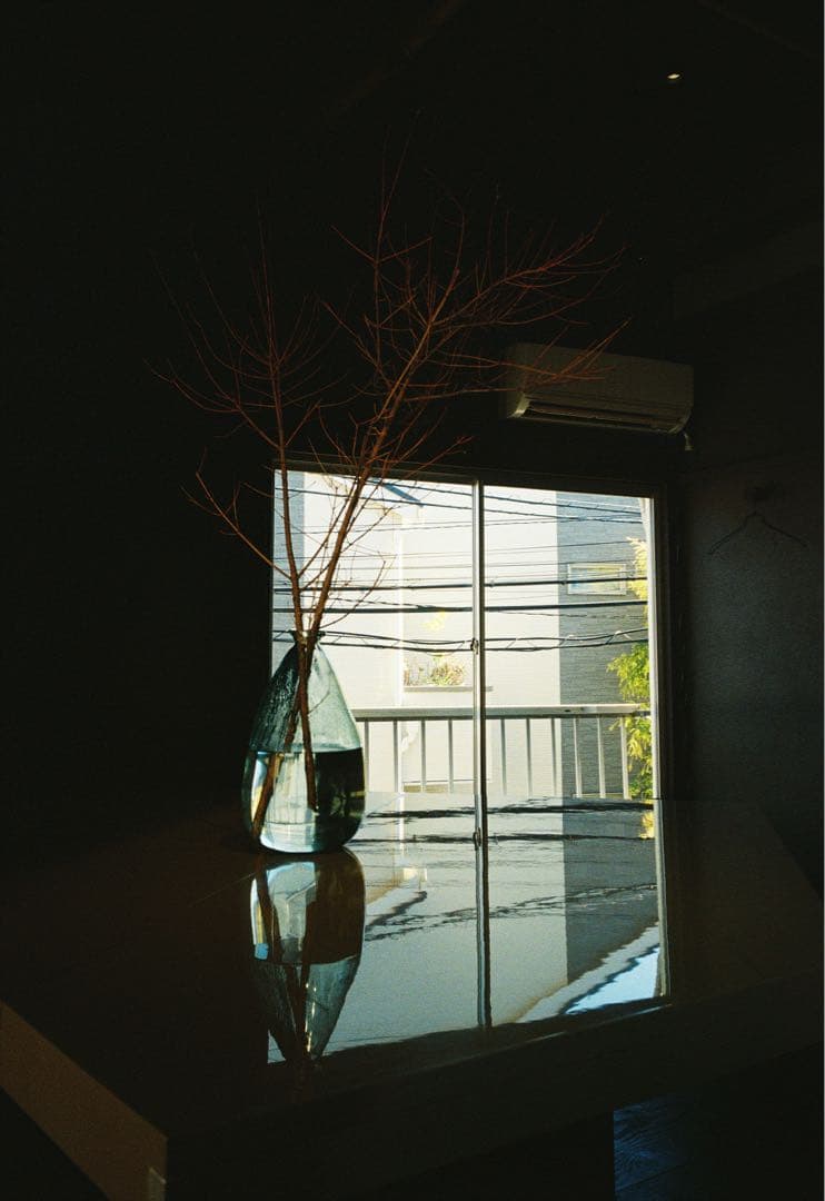 ricoh gr1s 動作確認済み