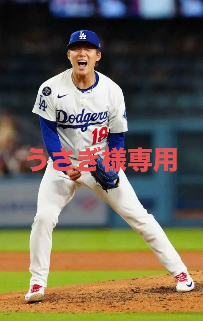 うさぎ 祝ワールドシリーズMVP！ ロサンゼルスドジャース山本由伸選手
