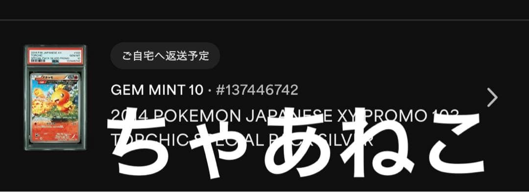 PSA10＊2014 アチャモ PROMO 世界83枚 希少 Torchic