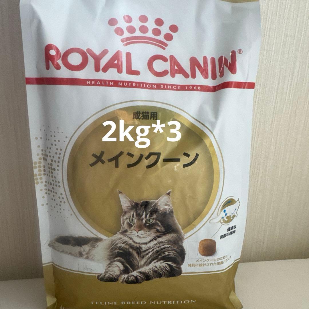  CANIN ロイヤルカナン メインクーン ドライフード 2kg*3