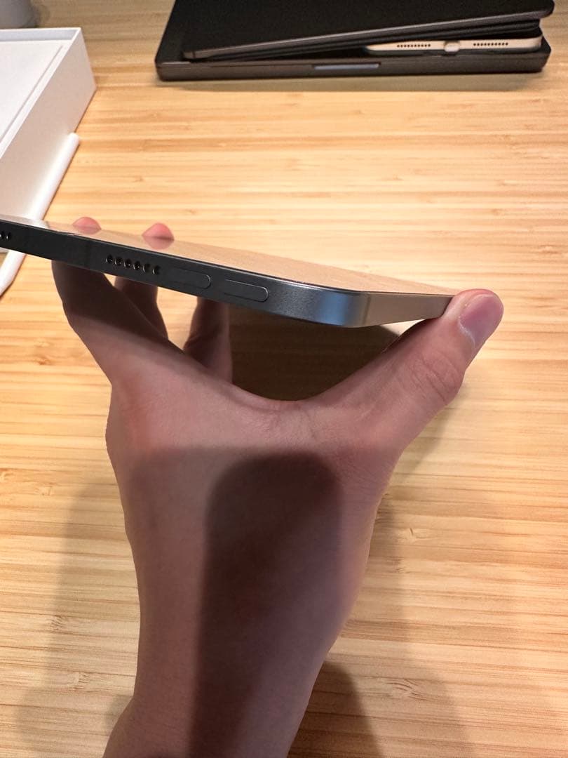 iPad mini 6セルラー 256gb AppleCare＋加入