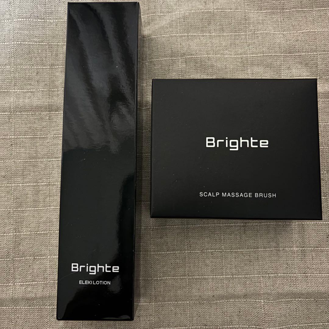 ブライトエレキブラシプラス/brighte ELEKIBRUSH＋　おまけ付き