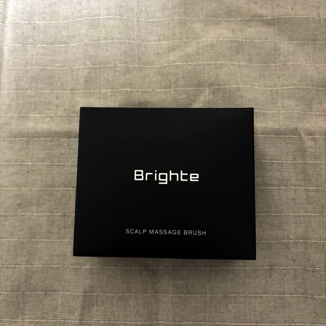 ブライトエレキブラシプラス/brighte ELEKIBRUSH＋　おまけ付き