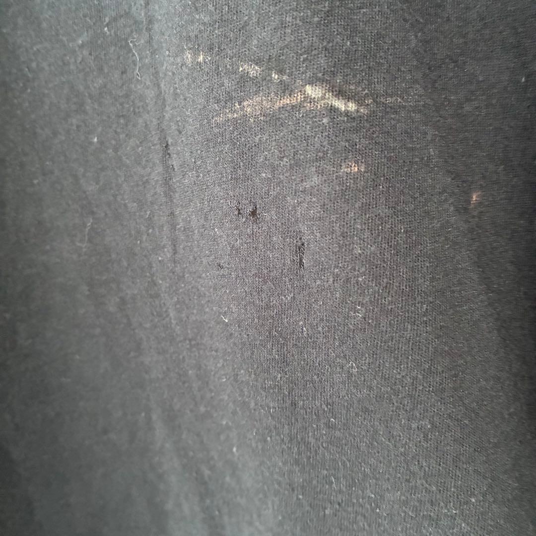 gunda ガンダ 蛇モチーフ フェード加工 ロングスリーブカットソー 日本製