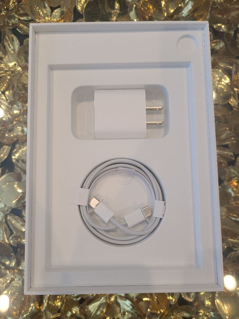 Apple iPad mini 第6世代