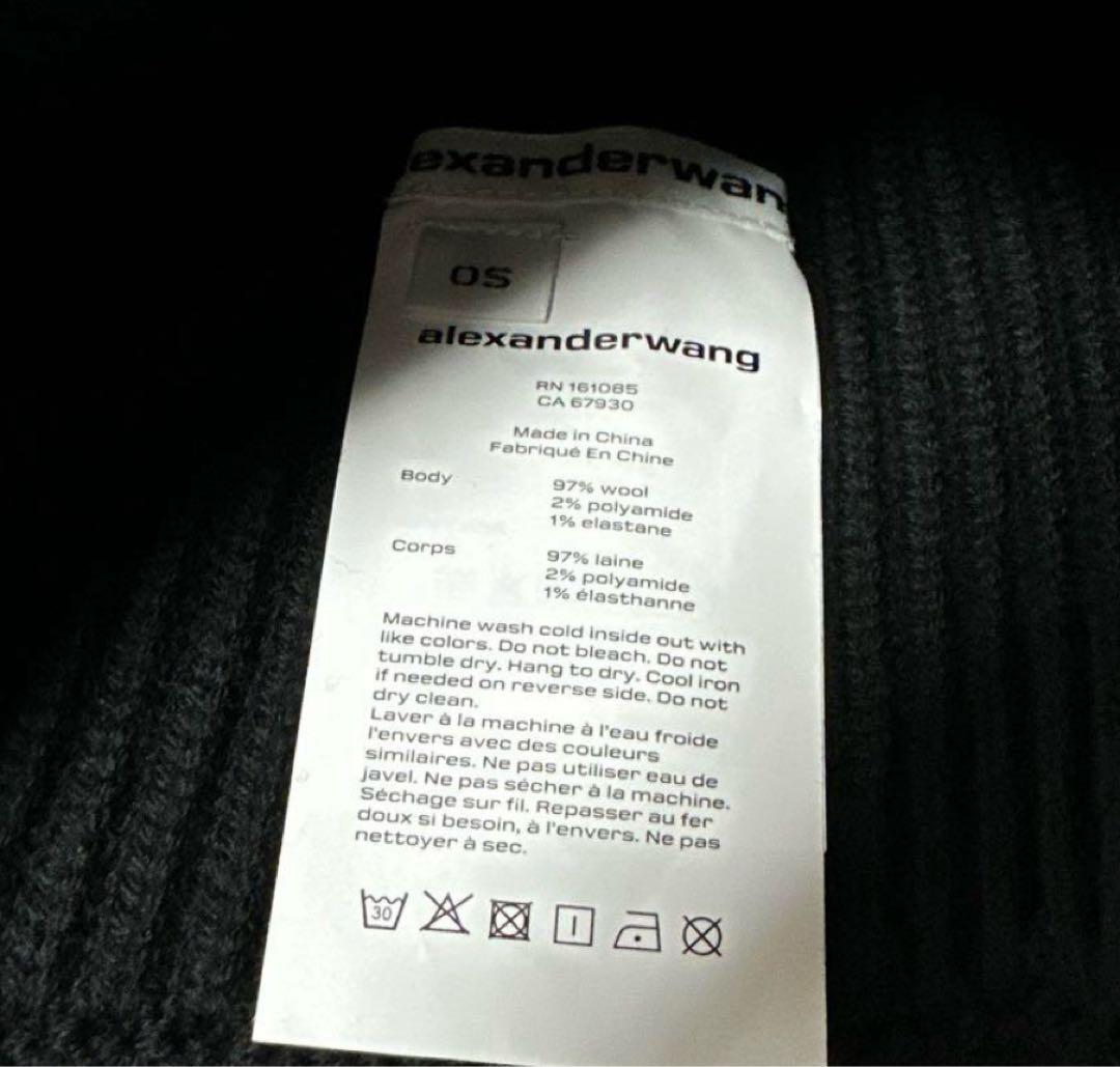 登坂広臣着用 ALEXANDER WANG ビーニー　アレキサンダーワン