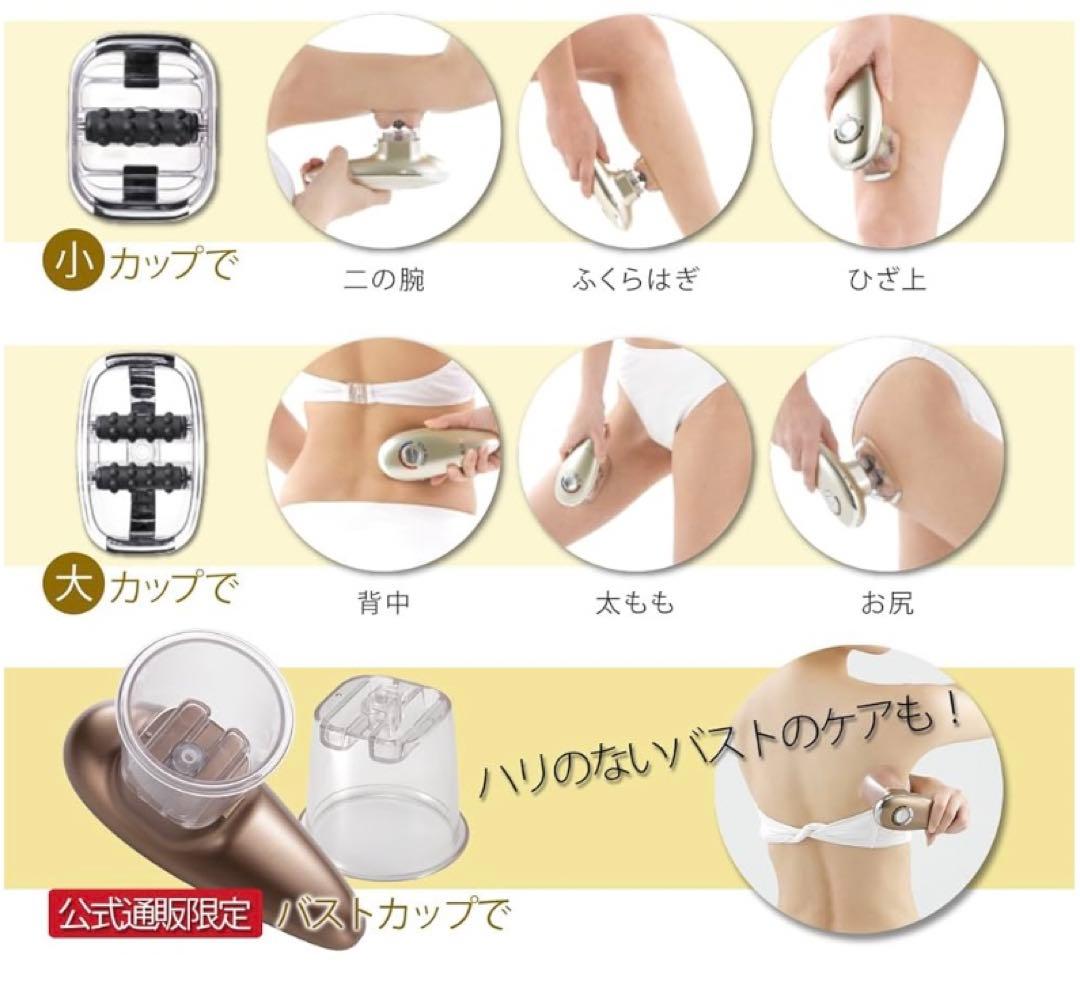 ヤーマン アセチノエレクトロボーテ リポボディスリム