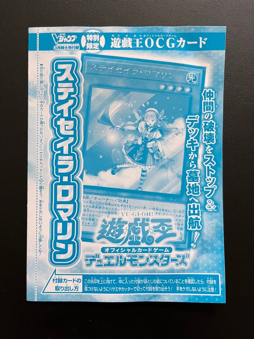 ステイセイラ・ロマリン