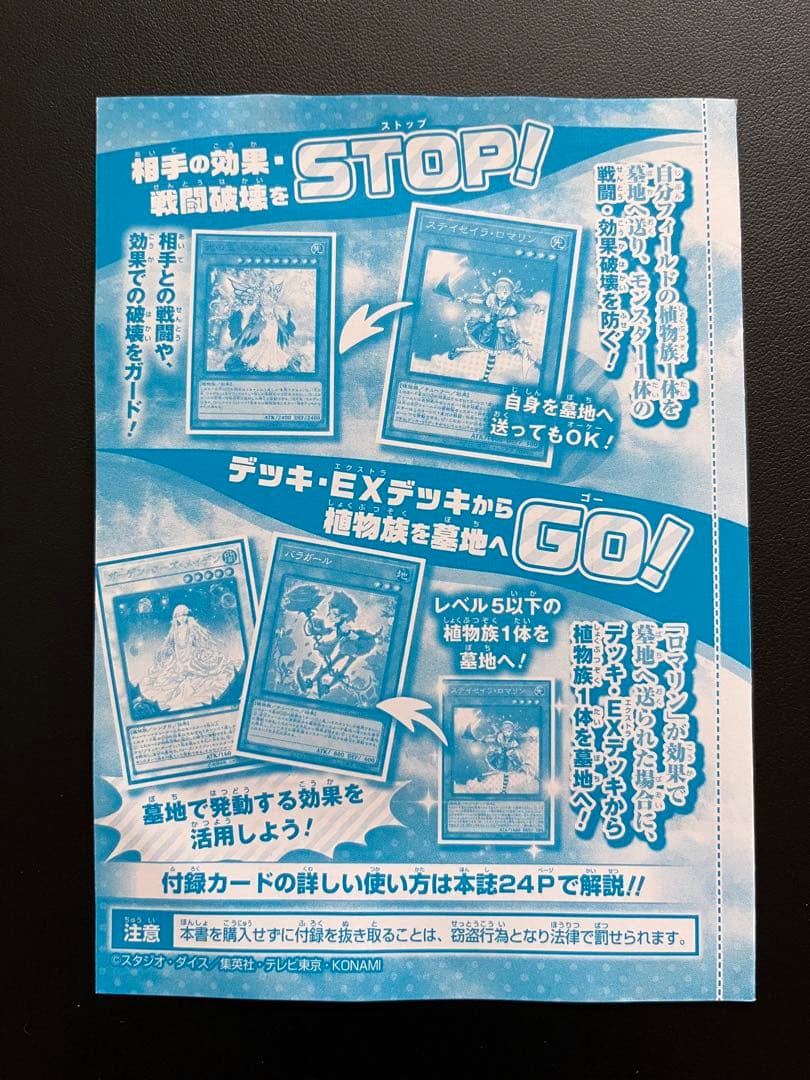 ステイセイラ・ロマリン